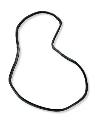 BMW X5 E53 Front door rubber seal 8402515 8402585