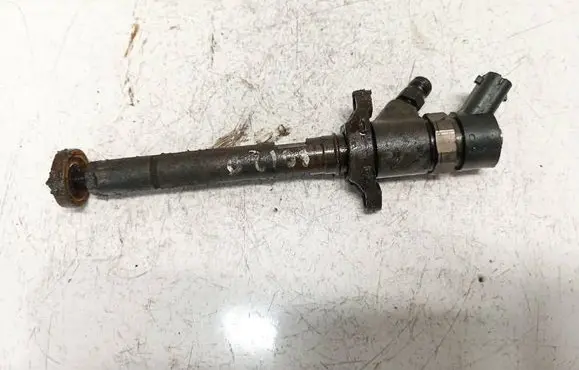 Citroen Xsara Picasso Fuel injector 0445110259