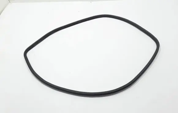 Dodge Durango Front door rubber seal 55399184AC
