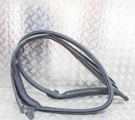 Tesla Model 3 Rubber seal front coupe door 109050099F