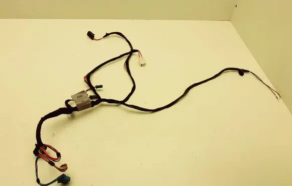 Mercedes-Benz S W220 Rear door wiring loom 2205404508 A2205404508