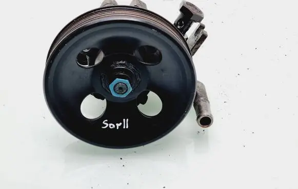 KIA Sorento Power steering pump 494D4620