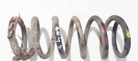 Chevrolet Captiva Rear coil spring