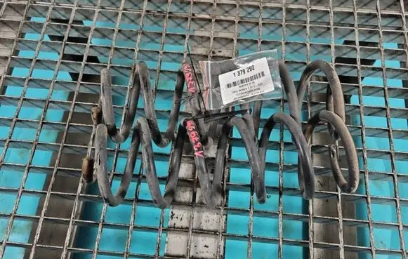 Dacia Sandero Rear coil spring IMPRK1379292