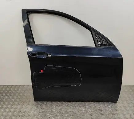 BMW X6 E71 Front door 7198160