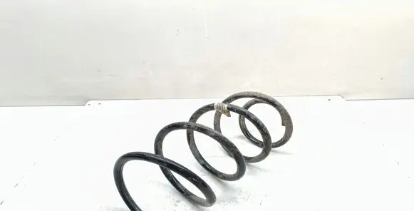 Front coil spring