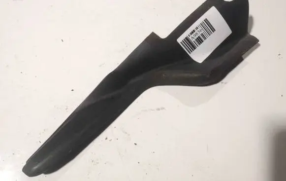 Renault Kangoo II Other interior part 8200439443