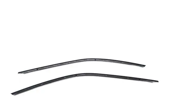 Dodge Challenger Rubber seal front door (on door)