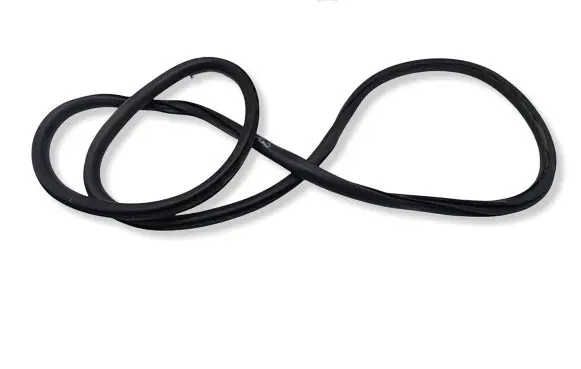 Renault Laguna III Rear door rubber seal (on body) 