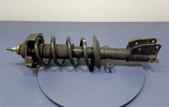 Opel Vivaro Front shock absorber with coil spring 543029028R