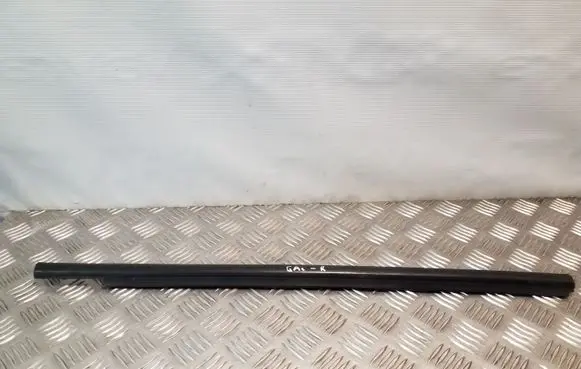 Hyundai Santa Fe Rear door glass trim molding