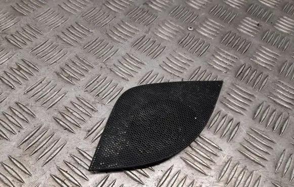 Side speaker trim/cover