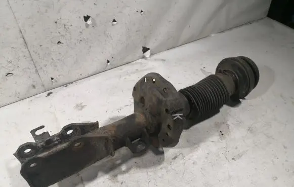 Opel Insignia A Front shock absorber/damper 13245966