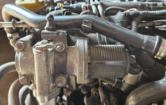 Opel Vectra C EGR valve 55215031