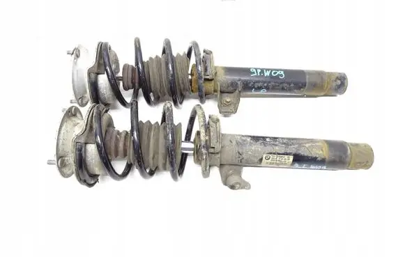 BMW X1 E84 Front shock absorber/damper 6789854