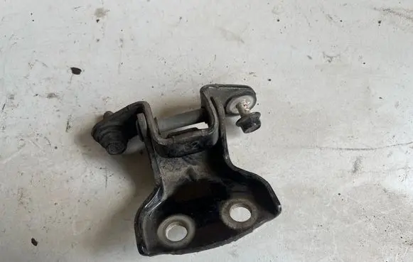 Chevrolet Aveo Rear door lower hinge