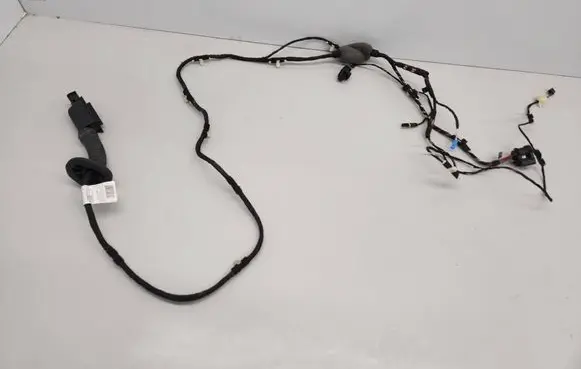 Other wiring loom