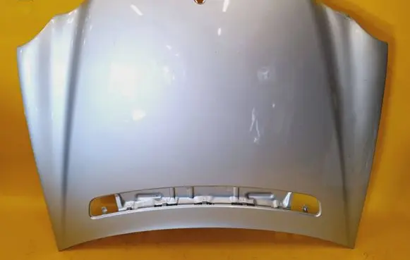 Engine bonnet/hood