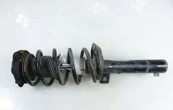 Volkswagen PASSAT B6 Front shock absorber with coil spring S010500G