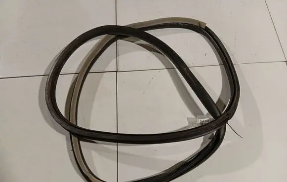 Renault Laguna III Rubber seal rear door