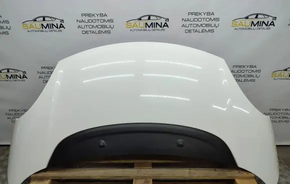 Fiat 500L Engine bonnet/hood