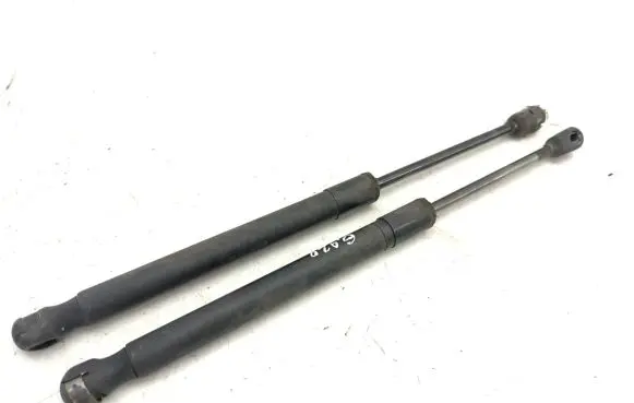 Renault Avantime Tailgate/trunk strut/damper 6025401711
