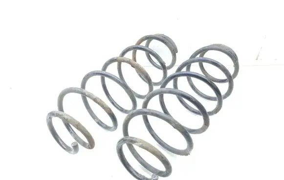 Rear coil spring