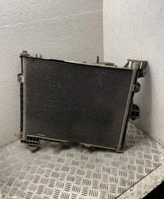 Dodge Durango II Radiator set 