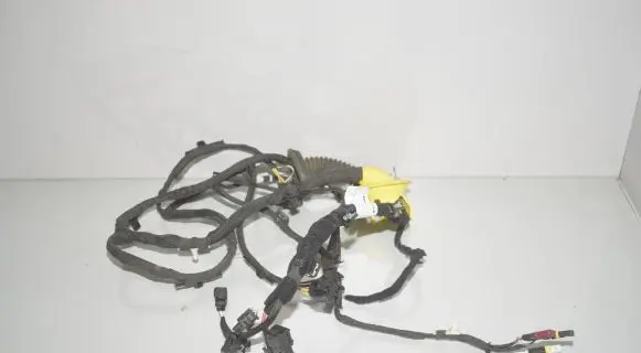 BMW iX Rear door wiring loom 5A54EF7 5A54F24 61125A54F24