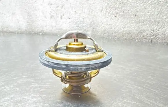 Opel Vivaro Thermostat 417479D