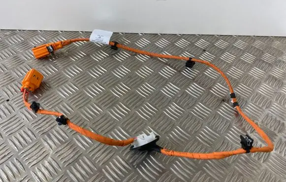 Cupra Born Other wiring loom 1EA971475F