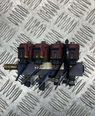 Volkswagen Sharan LP gas injector 110R000040 67R010104