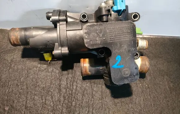 Thermostat/thermostat housing