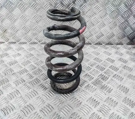 Lexus NX Rear coil spring
