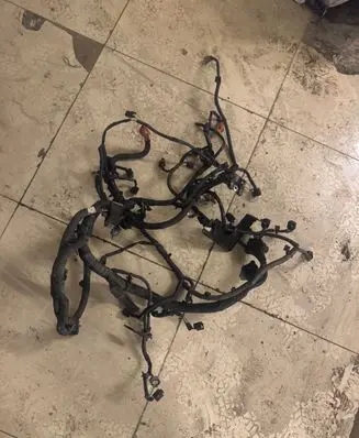 Nissan Juke I F15 Engine installation wiring loom