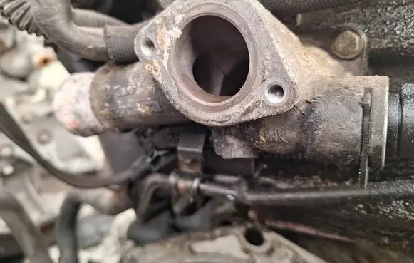 Volkswagen Golf IV Engine coolant pipe/hose 038121133