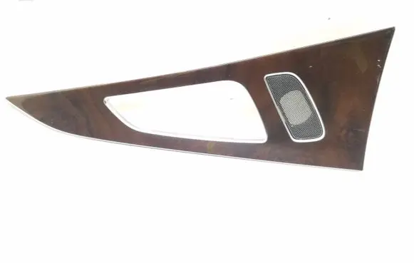Other rear door trim element
