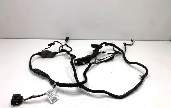 BMW 5 G30 G31 G38 Rear door wiring loom 8730190