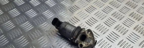 Seat Alhambra (Mk1) EGR valve 06A131501N 72807004