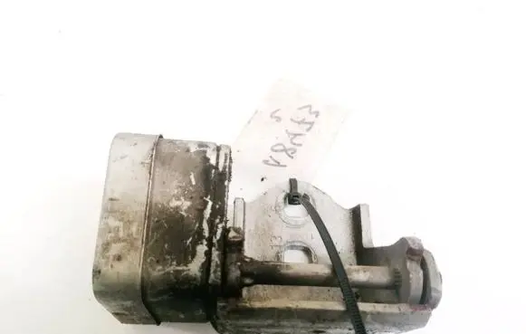 Renault Scenic II - Grand scenic II Rear door lower hinge