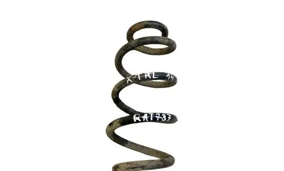 Rear coil spring
