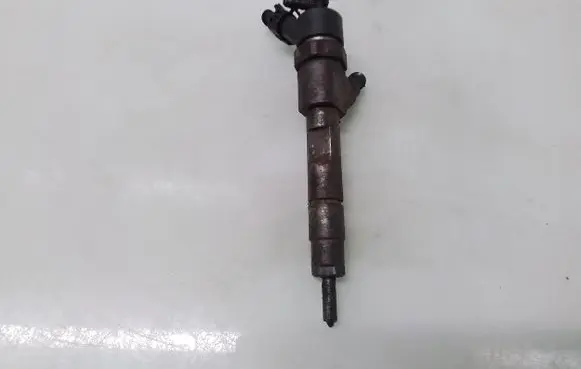 Renault Scenic II - Grand scenic II Fuel injector 0445110021