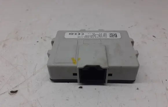 Hyundai ix 55 Other control units/modules 958003J100
