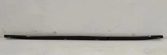 Front door trim (molding)