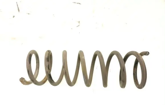 Rear coil spring