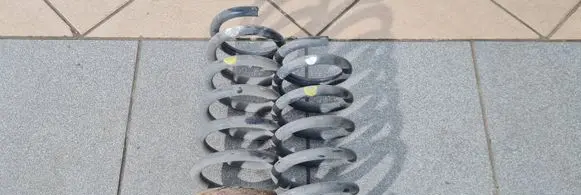 Chevrolet Captiva Rear coil spring