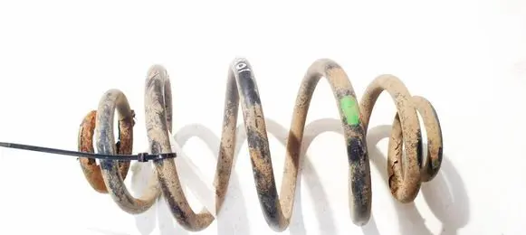 Volkswagen PASSAT B5 Rear coil spring