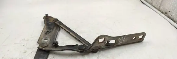 Cadillac CTS Tailgate/trunk/boot hinge 15520445