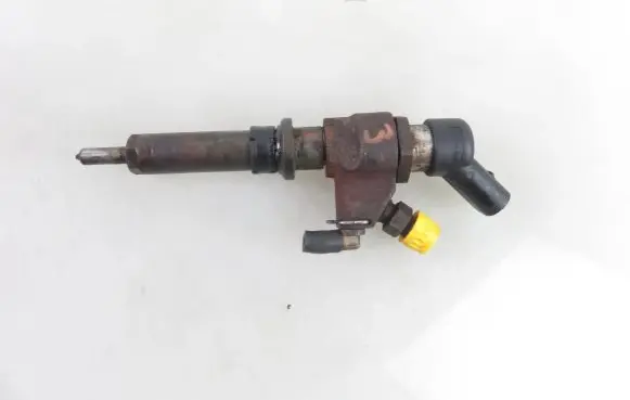 Peugeot Partner Fuel injector 9652173780