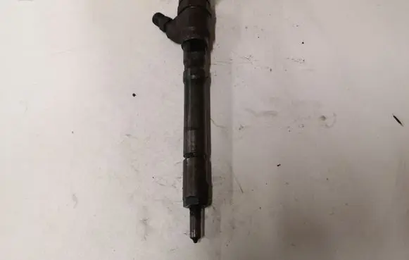 Hyundai Tucson JM Fuel injector 0445110064